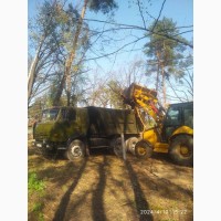 Спил дерев та видалення у Києві та Київській області