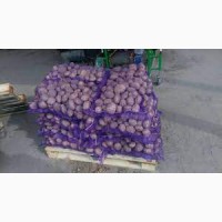 Продам картоплю від 10 тон, 2 сорт для переробки або столових потреб