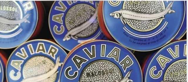 Фото 2. Caviar caspian Продам Настоящую чёрную икру осетра