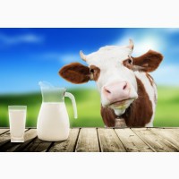Компания реализует молоко оптом