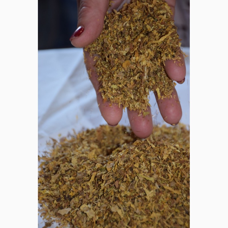 Фото 10. Табак верджиния разной нарезки и ферментации. Урожай 2023