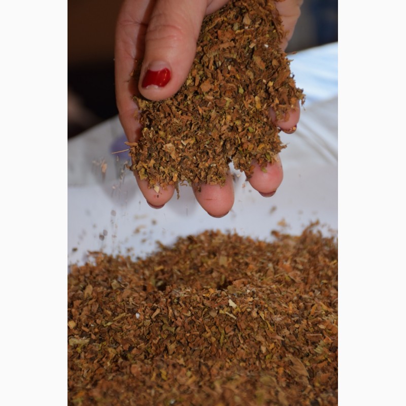 Фото 11. Табак верджиния разной нарезки и ферментации. Урожай 2023
