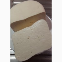 Фета – домашний сыр в оливковом масле