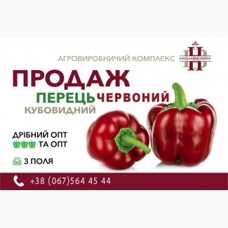 ТЕРМІНОВО продаж ПЕРЦЮ ЧЕРВОНОГО кубовидного