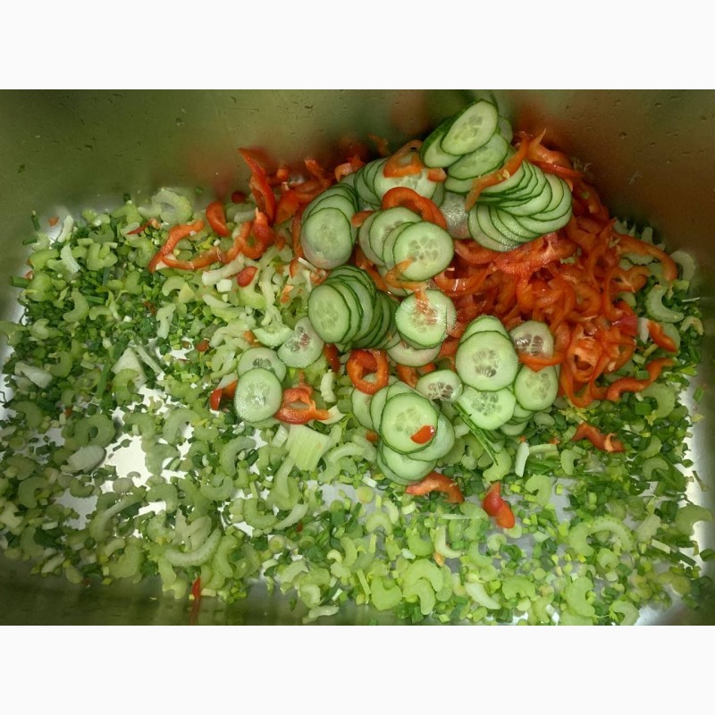 Фото 5. Овочерізка STvega Belt Cutter H150 нарізка зелені, шатківниця овочів, фруктів