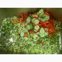 Овочерізка STvega Belt Cutter H150 нарізка зелені, шатківниця овочів, фруктів