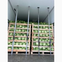 Капуста та інші овочі прямий імпорт з Румунії імпорт