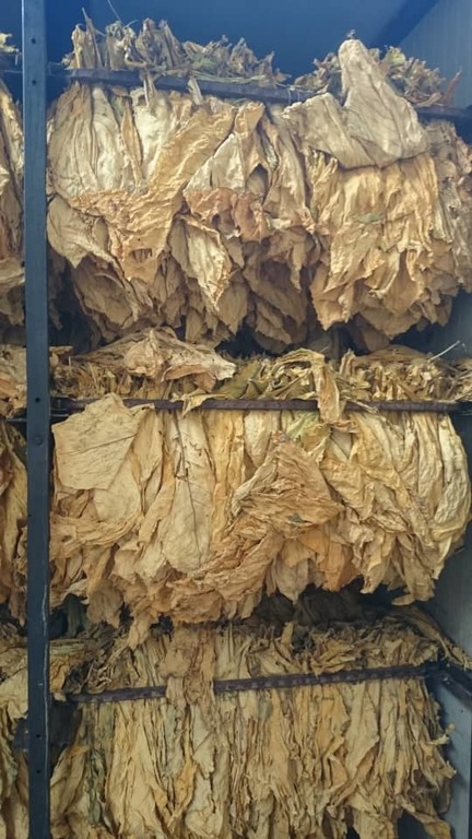 Фото 9. Продам табак импортный Вирджиния Голд, Венгерский