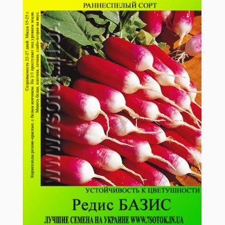 Семена редиса «Базис», высокая всхожесть