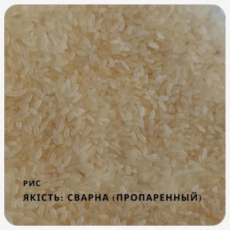 Длиннозернистый пропаренный рис из Индии - 19.50 грн / кг