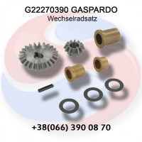 Шестерні (комплект) G22270390 Gaspardo