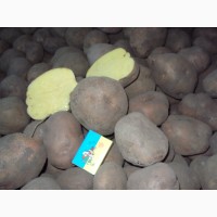 Обмін картошки