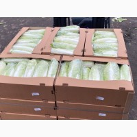 Продам СУПЕР пекинскую капусту