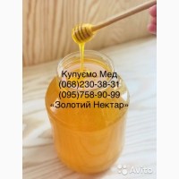Оптовая закупка мёда Новый Буг (Николаевская область)