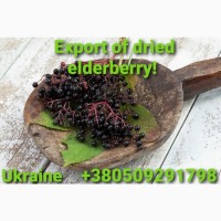 Наше предприятие Nuts all Ukraine, в Украине, продает сухую бузину 2021 года