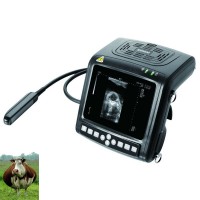 УЗИ аппарат КХ 5200 для скотоводства
