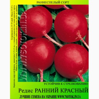 Семена редиса «Ранний Красный», высокая всхожесть