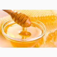 Куплю мед в Херсонской области