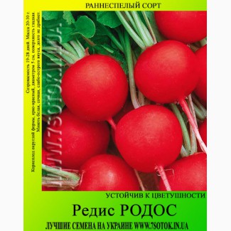 Семена редиса «Родос», высокая всхожесть