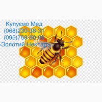 Покупаем мед 2021 в Березнегуватом Николаевской области