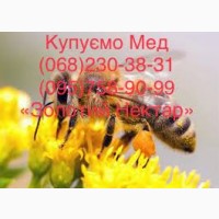 Оптовая закупка мёда урожая 2021 года Николаев и районы