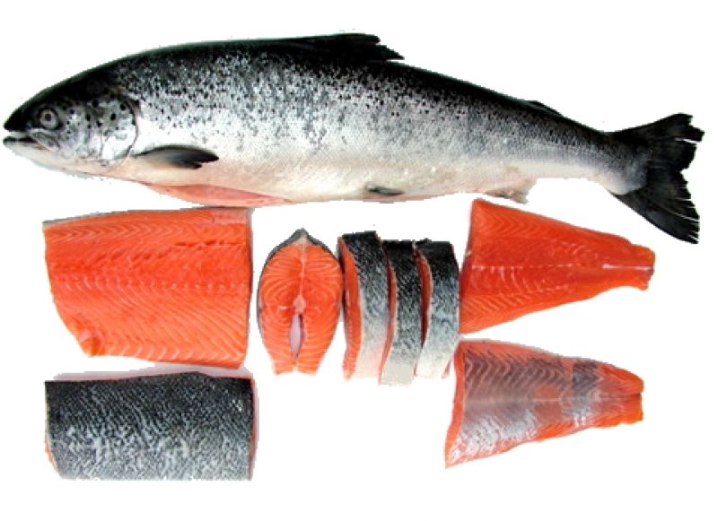 Фото 2. Рыба и море продукты лосось кальмар креветка
