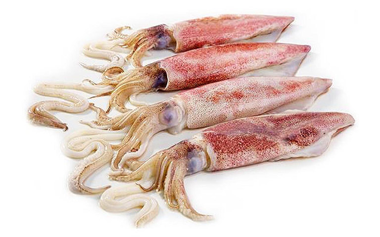 Фото 6. Рыба и море продукты лосось кальмар креветка