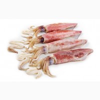 Рыба и море продукты лосось кальмар креветка