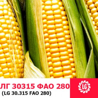 Семена кукурузы ЛГ 30315 ФАО 280 ( LG 30315)