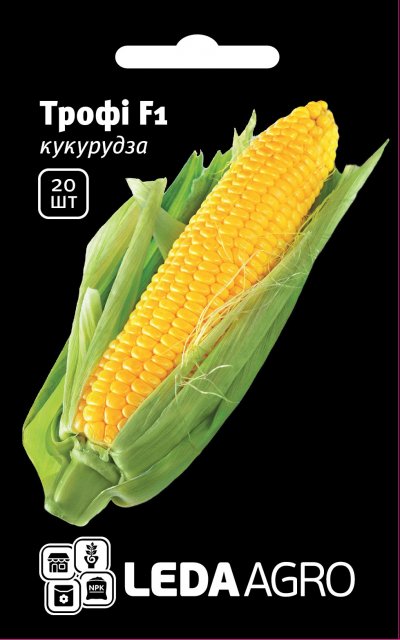 Фото 2. Семена Кукурузы