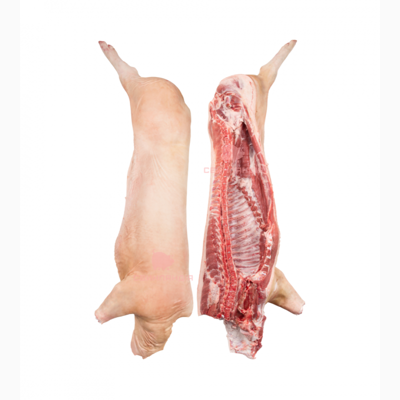 Фото 2. Продаємо оптом свинячі туші, свинину, сало, субпродукти. Доставляємо авторефрижераторами
