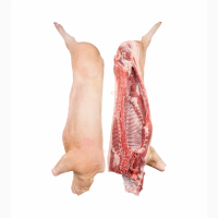 Продаємо оптом свинячі туші, свинину, сало, субпродукти. Доставляємо авторефрижераторами