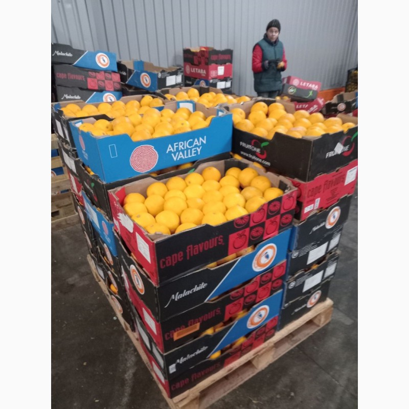 Фото 6. Гурт продаж фрукти овочі ціни опт фрукты овощи апельсин лимон мандарин