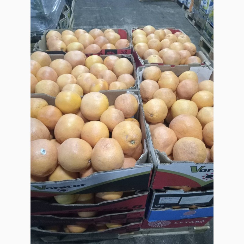 Фото 7. Гурт продаж фрукти овочі ціни опт фрукты овощи апельсин лимон мандарин