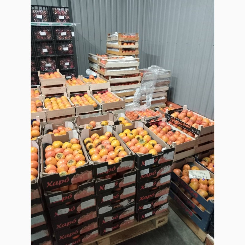 Фото 8. Гурт продаж фрукти овочі ціни опт фрукты овощи апельсин лимон мандарин