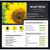 Гібрид соняшника - Fortera (Durum Seeds)