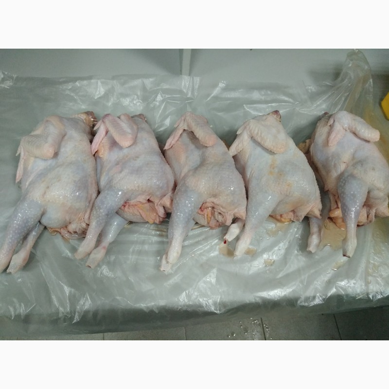Фото 7. Тушка куриная (несушка, суповая) замороженная