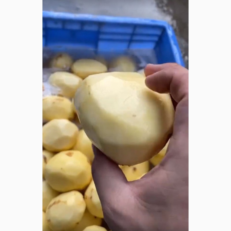 Фото 10. Машина для ножового очищення картоплі STvega KPel Potato H500