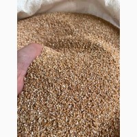 Крупа пшенична вагова ОПТ