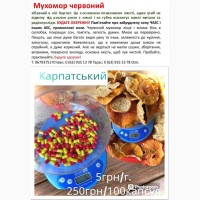 Мухомор Карпатський