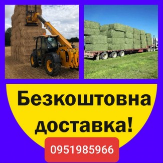Сено луговое, сено люцерны, солома из зерновых с бесплатной доставкой по Украине