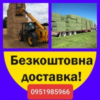 Сено луговое, сено люцерны, солома из зерновых с бесплатной доставкой по Украине