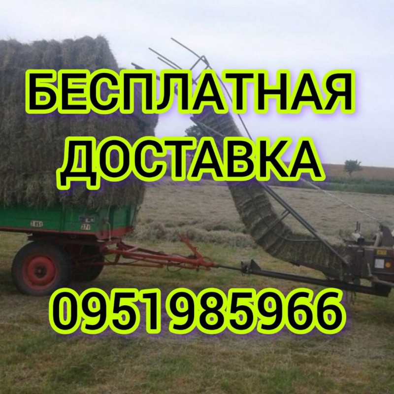 Фото 2. Сено луговое, сено люцерны, солома из зерновых с бесплатной доставкой по Украине