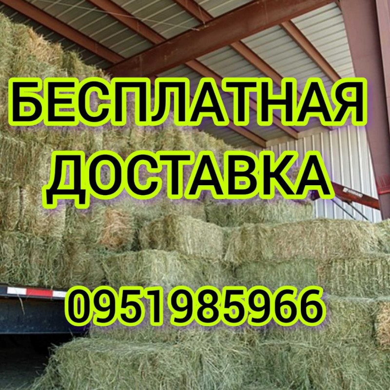 Фото 3. Сено луговое, сено люцерны, солома из зерновых с бесплатной доставкой по Украине