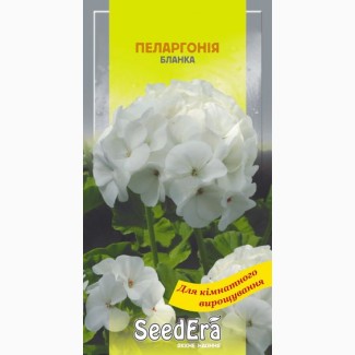 Комнатные цветы Пеларгония Бланка 5шт SeedEra