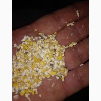 Зерновідходи та побічний продукт кукурудзи