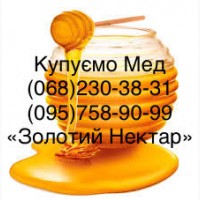 Купим оптом мед Каменское (Днепродзержинск)