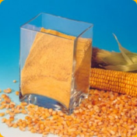 Глютен кукурузный СП 65-75%