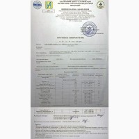 Зерно Спельты Органической, 1кг, сертифицировано