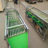 Машини для сортування/калібрування овочів та фруктів STvega Sorting H2000